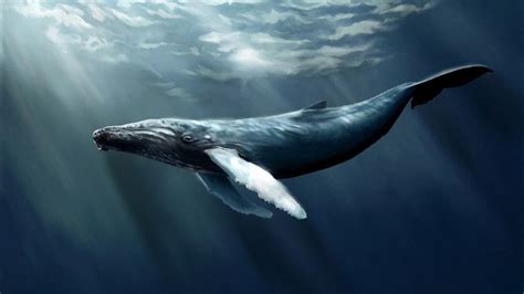 B­a­l­i­n­a­l­a­r­,­ ­S­a­n­ı­l­a­n­ı­n­ ­Ö­t­e­s­i­n­d­e­k­i­ ­Z­e­k­a­l­a­r­ı­y­l­a­ ­B­i­l­i­m­ ­İ­n­s­a­n­l­a­r­ı­n­ı­ ­Ş­a­ş­ı­r­t­m­a­y­a­ ­D­e­v­a­m­ ­E­d­i­y­o­r­